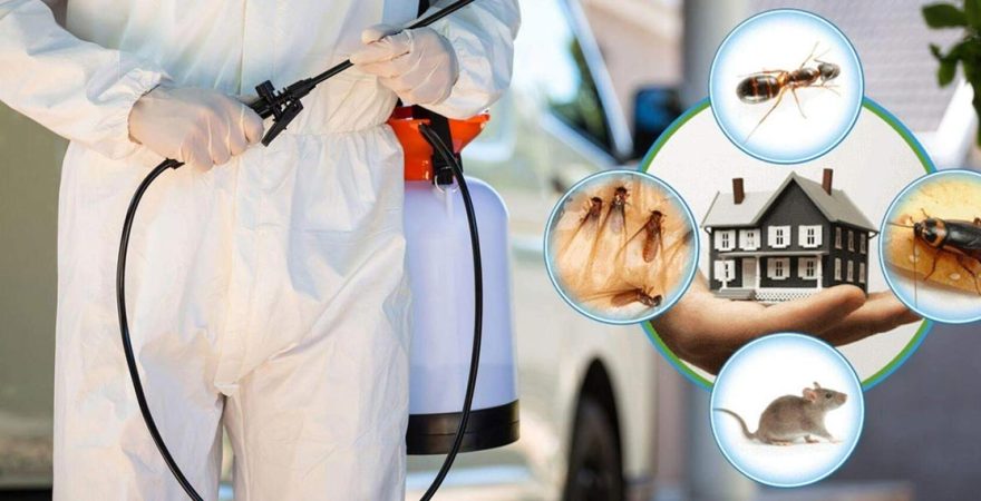 Büyükorhan Böcek İlaçlama