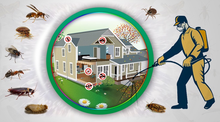 Büyükorhan Böcek İlaçlama